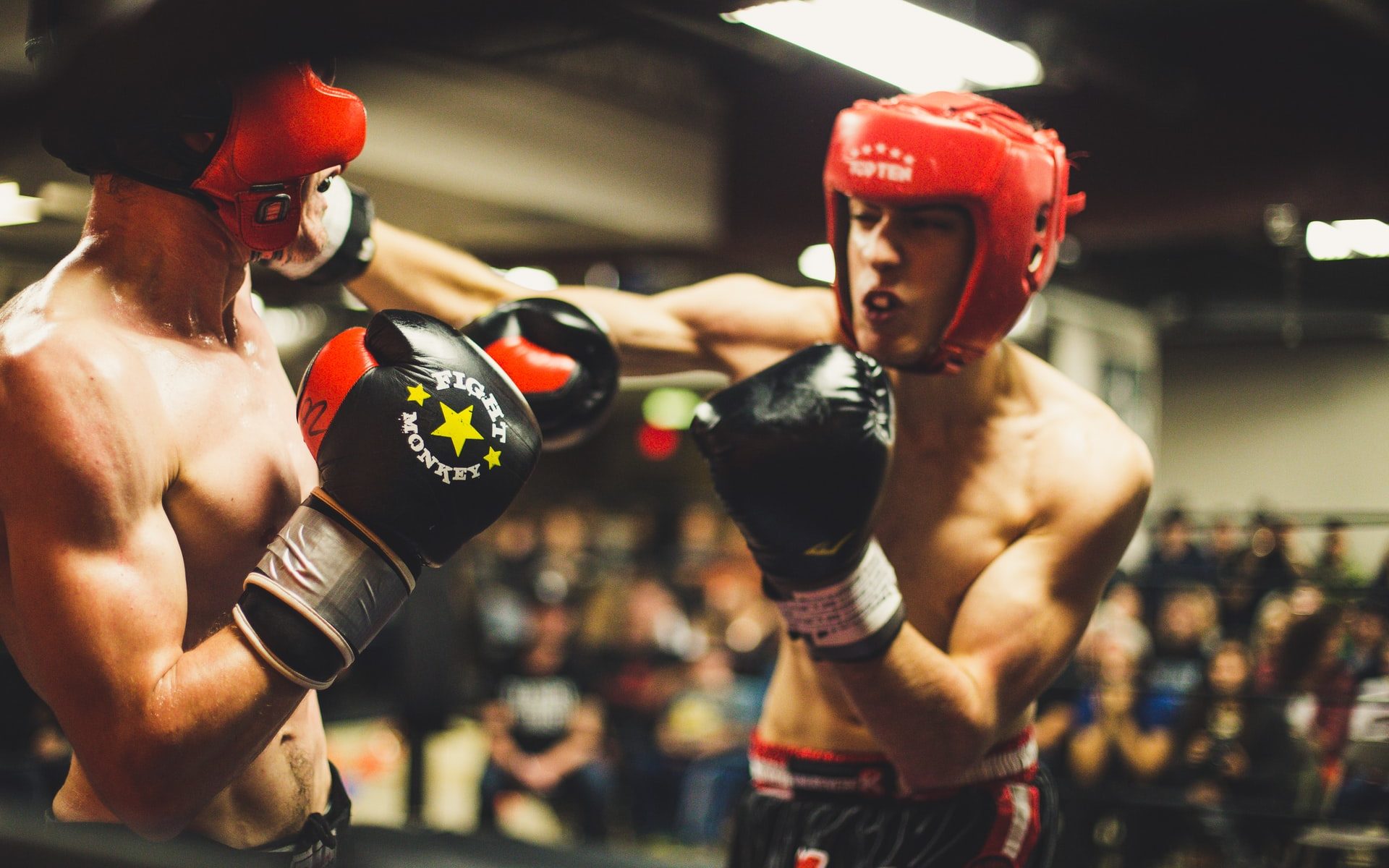 Two men fighting